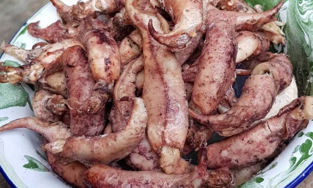 cumi-asin-aminoto