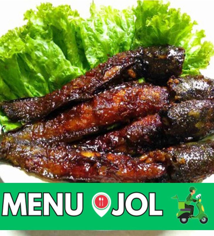 lele-bakar-aminoto