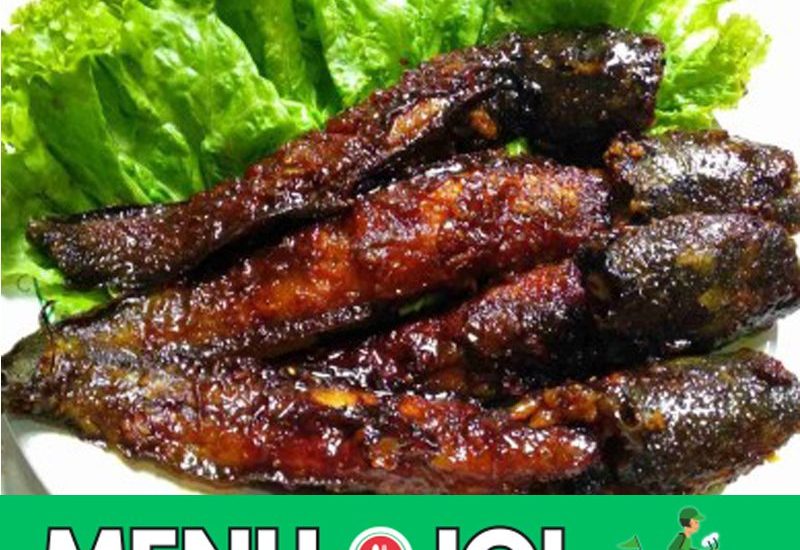 lele-bakar-aminoto