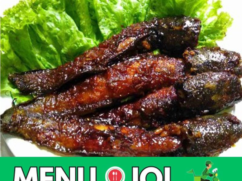 lele-bakar-aminoto